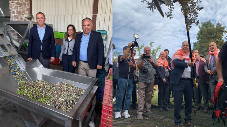 Ayvalık’tan Zeytinyağı İçin Stratejik Vurgular: Ambalaj ve Pazar Odaklı Bir Yol Haritası