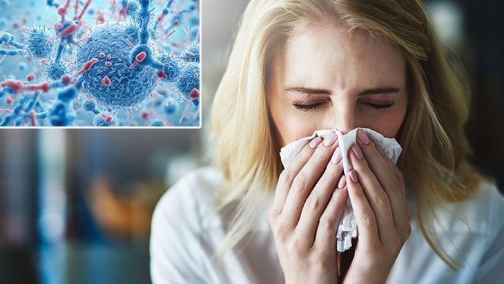 Bağırsak Mikrobiyotasının İmmün Sisteme Etkisi: Kışa Hazırlık İçin 3 Bilinçli Adım