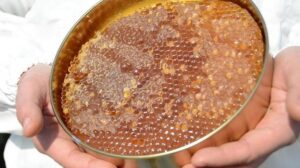 Balın Uluslararası Başarısı: DKİB Verilerine Göre 2025 Ocak-Eylül Dönemi İhracat Seyri