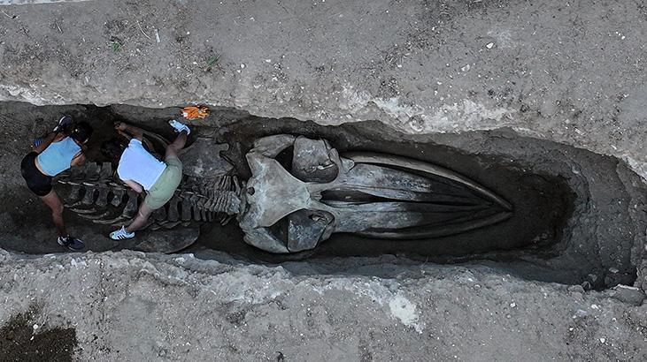 Balinanın Sessizliği Bilime Dönüşüyor: MEÜ’de Kayıtlı Kazı Gelişmeleri