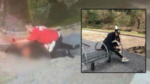 Beykoz Çubuklu’da Olay: Barışma Girişimiyle Geldiği Evde Cinayet, Tutuklandı