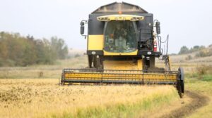 Çeltik Tarlalarından Hasata: Edirne, Kırklareli ve Tekirdağ’da Verimli Bir Yılın Hikâyesi