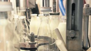 Çiğ Süt Sektöründe Şikayetler ve İnceleme Sonuçları: Yem Satın Alma Zorunluluğu Türkiye Raporu