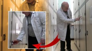 Cudi Dağı Etrafında Yüzlerce Yıllık Zeytin Ağaçları: Nuh’un Gemisiyle İlişkisi Üzerine Yeni Bulgular