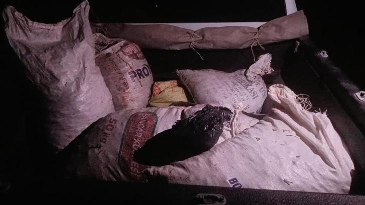 Dağ Sarımsağı Operasyonunda Yakalanan Şüpheliler ve Elde Edilen Kilogramla Ele Geçirilen Türün Tehdit Altında Olması