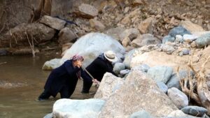 Dağlıca Olayı: Avaşin Deresi’nde Kaybolan Kom’un Ardındaki Arama ve Aile Direnişi