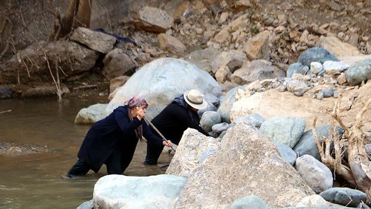 Dağlıca Olayı: Avaşin Deresi’nde Kaybolan Kom’un Ardındaki Arama ve Aile Direnişi