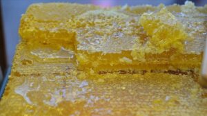 Doğu Karadeniz Bal İhracatında 9 Ayda 11 Ülkeye 393 Ton Yolculuk