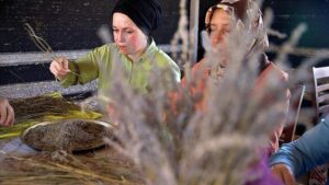 Düziçi Lavanta Bahçesi: Kadın Kooperatifinin Yeniden Doğuşu ve Ekonomiye Katkısı