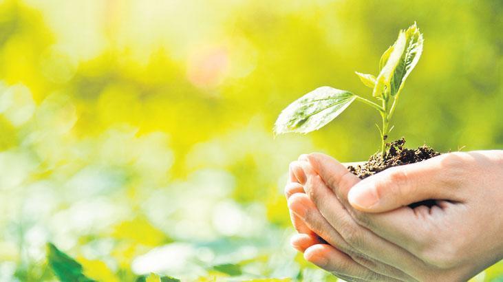 EcoDrone ile 2,5 Milyon Ağacın Doğaya Uyumlu Yolculuğu: Dost Süt Desteğiyle Yeşil Bir Gelecek