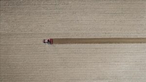 Eylül Tarım ÜFE Raporu: Yıl Sonu İçin Önemli Artışlar ve Sektörel Gösterge Dağılımı