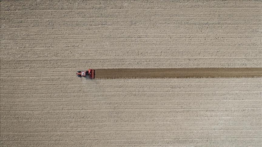 Eylül Tarım ÜFE Raporu: Yıl Sonu İçin Önemli Artışlar ve Sektörel Gösterge Dağılımı