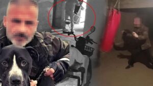 Feyzioğlu Apartmanı’nda Bodrum Katında Şüpheli Yangın Olayı ve Tahliye Tartışmaları