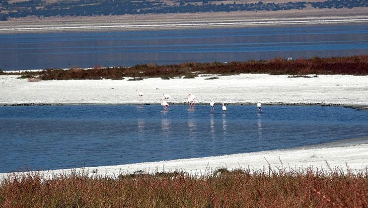 Göl Ekosistemlerinde Kaybı Önlemek İçin Dersler ve Uyarılar: İklim ve Su Kullanımının Etkileri