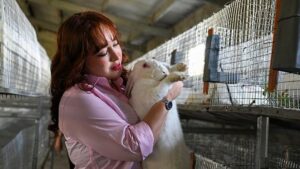 Göllü Mahallesi’nde Tavşan Eti Üretim Girişimi: Genç Girişimci Temel’in Yolculuğu