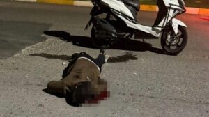 Güllübağ’da Gece Olayı: Bıçaklı Saldırı ve Olay Yeri İncelemesi