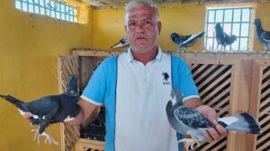 Güvercinlerin Kaybı ve Büyük Ödül: 100 Bin Liralık Ağıt