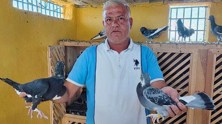 Güvercinlerin Kaybı ve Büyük Ödül: 100 Bin Liralık Ağıt