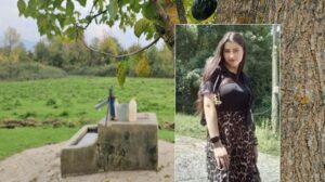 Hasret Akkuzu’nun Ölümü ve Deniz Boyacı Olayına İlişkin Yeni Gelişmeler