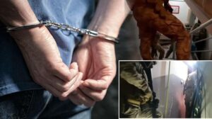 İstanbul ve Yalova’da Eş Zamanlı Operasyon: 17 Şüpheli Yakalandı