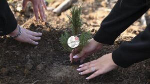 İstanbul’da Evlilik Kredisi ve Aile Yılı: Genç Çiftler İçin Yeni Destekler ve Eğitim Programları