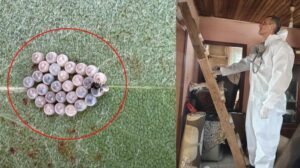 İstanbul’da Kahverengi Kokarca Mücadelesinde Çok Yönlü Strateji ve Hedefler