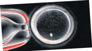 IVG Toksinlerinden Uygarlığa: Laboratuvarın Yeni Nesil Üreme Yöntemi Üzerine Değerlendirme