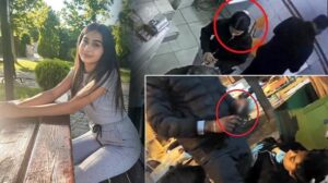 Kaan Bulut’un Şiddetiyle Yaralanan Merve Ongun’un Hikayesi: Yeni Güvenlik Görüntüleri ve Devam Eden Tedavi