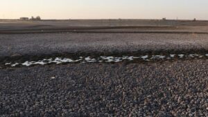 Kabaklı Göleti’nde Su Seviyesi Kaybı ve Biyoçeşitlilikte Azalma: Kuraklık Döneminin Getirdikleri