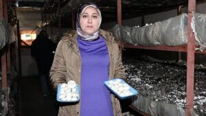 Kadın Girişimiyle Doğu Anadolu’da Mantar ve Kompost Üretiminde Yeni Dönem
