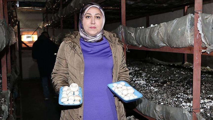 Kadın Girişimiyle Doğu Anadolu’da Mantar ve Kompost Üretiminde Yeni Dönem