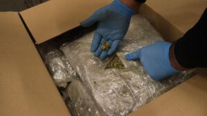 Kapıkule ve İpsala’da Operasyon: 525 Kilogram Esrar Ele Geçirildi