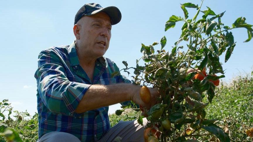 Karacabey’den Londra’ya Uzun Yolculuk ve Tarımsal Güç: Gezegen’in İtirafları