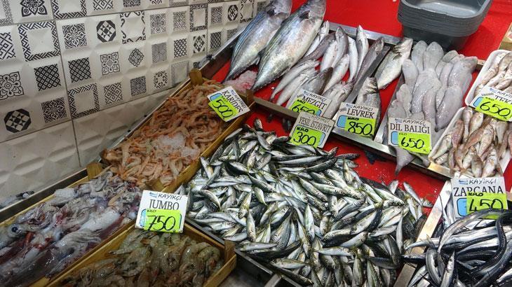 Karadeniz’de Hamsi Yoğunluğu ve Müsilaj Gözlemlerinin Güncellenmesi
