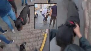 Kask Kamerasında Kuryeye Yönelen Köpek Saldırısı: Yaşananlar ve Sonuçlar