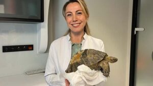 Kırık Kabuğa 3D Protez: Roka’nın Yeniden Doğuşu