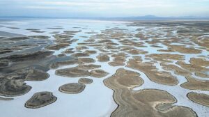Konya’da Susuzluk ve Oburlarda Artış: Barajlar Kritik Seviyelerde