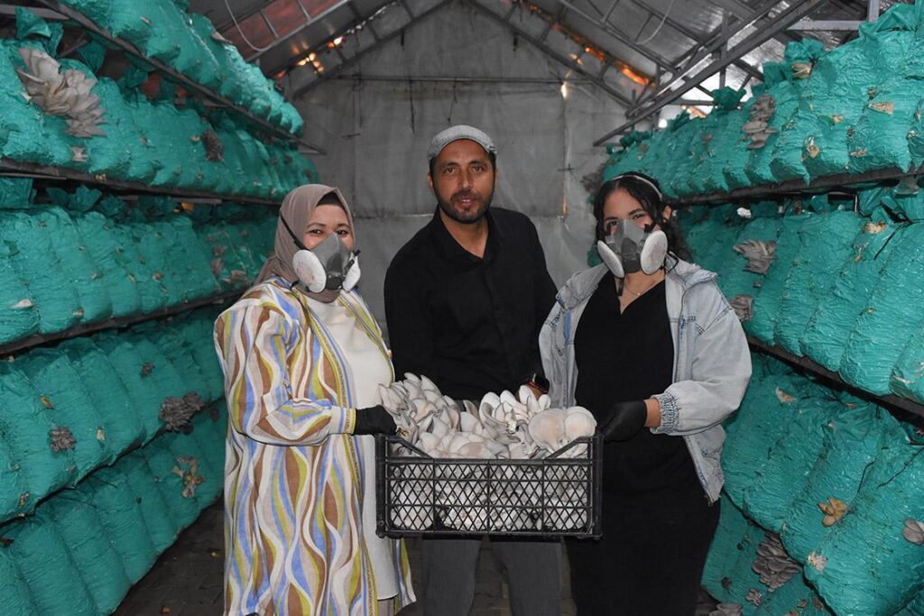 Köyde Mangal İçin Değil, İstiridye Mantarı İçin Büyüten Kadın: Hüsna Sümer’in Köyde Başarısı