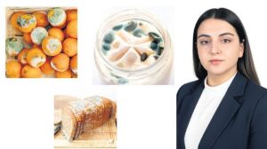 Küf ve Mikotoksinler: Evde Güvenli Tüketim İçin Önemli Uyarılar