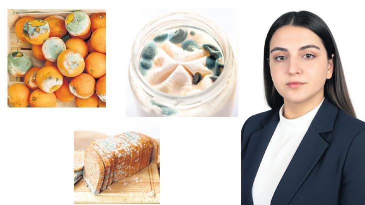 Küf ve Mikotoksinler: Evde Güvenli Tüketim İçin Önemli Uyarılar