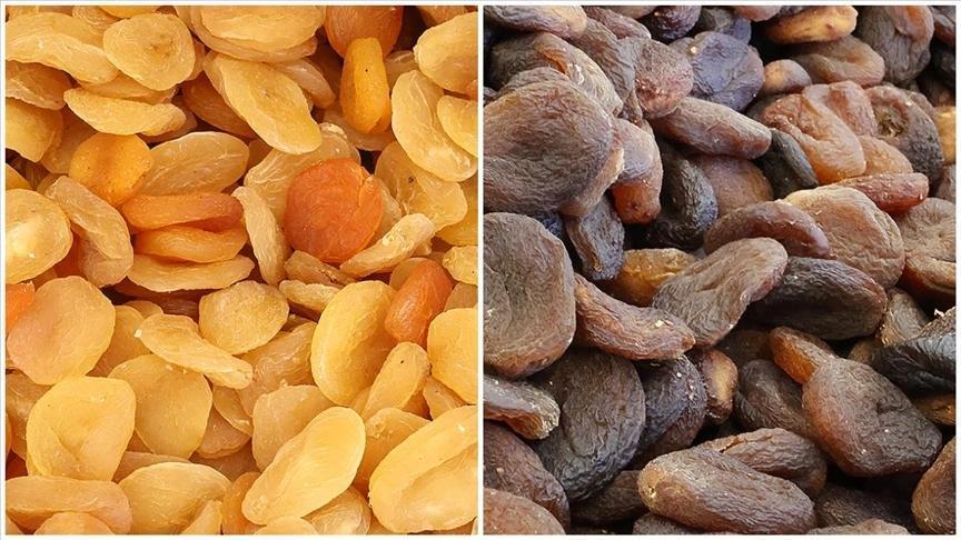 Malatya Kayısı İhracatında Düşüş: Zirai Don Etkisi ve Yıl Sonu Hedefleri