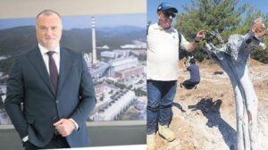 MAPEG Esaslarına Dayalı Zeytin Taşıma ve Kayıt Sistemi: Bilimsel İzlemeyle Koruma