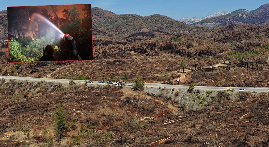 Muğla’nın Akköprü Mahallesi’nde Orman Yangını ve Müdahale Süreci – Bölgesel Bilgilendirme