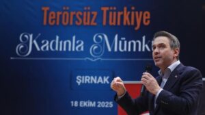 Nadir Toprak Elementleri Yerel Kararlılık ve Ulusal Enerji Vizyonu Çerçevesinde Gelişiyor