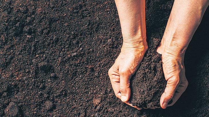 Nadir Toprak Elementlerinde Türkiye: Stratejik Yol Haritası ve Kilit Oyuncular