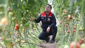 Sera Deneyimi: İlçe Tarım Müdürlüğüyle Öğrenen ve Üreten Birlikte Büyüyor