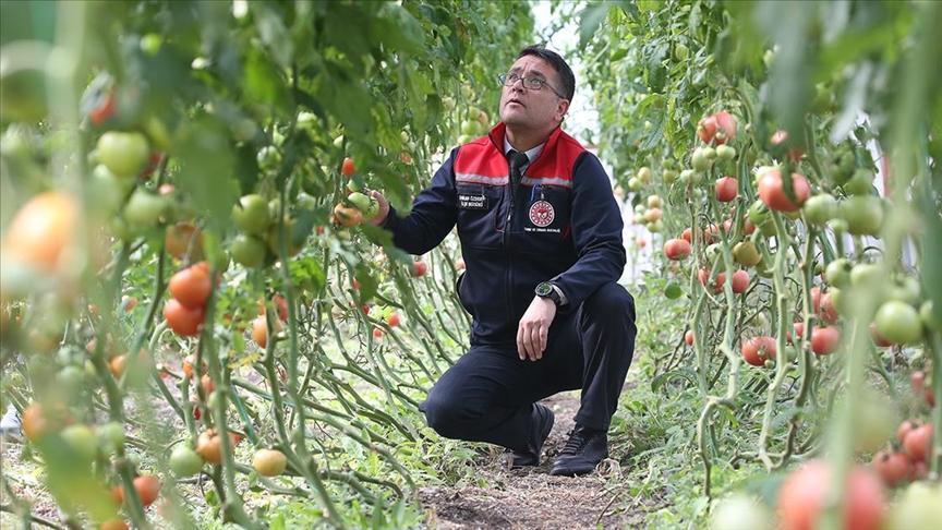 Sera Deneyimi: İlçe Tarım Müdürlüğüyle Öğrenen ve Üreten Birlikte Büyüyor