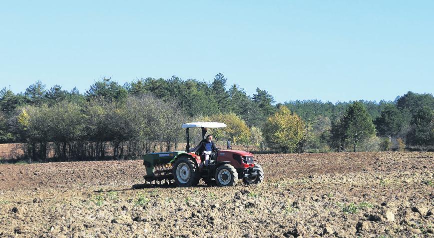 TARSİM Poliçeleri ve Sektörel Devlet Desteği İçerikleri: Köy Bazlı Verim Sigortası ve Destek Oranları