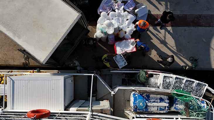 Tayfa Krizi: Balıkçılık Sektöründe İşçi Bulma Zorluğu ve Çözüm Önerileri
