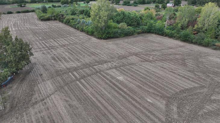 Trakya’da Yağışlar Tarımı Canlandırdı: Buğday ve Kanola Hazırlıkları Hızlandı